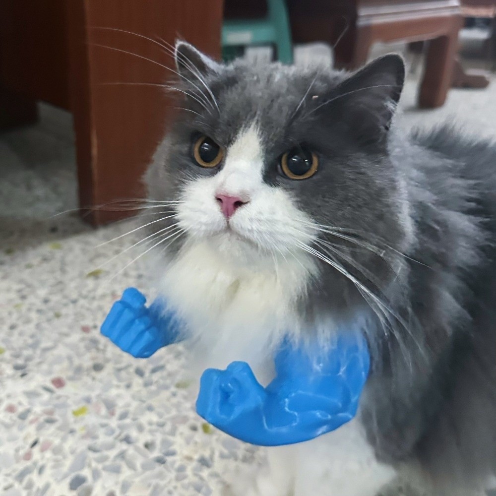3D Printing Nylon - Role Play 3D Printed Cat Fist