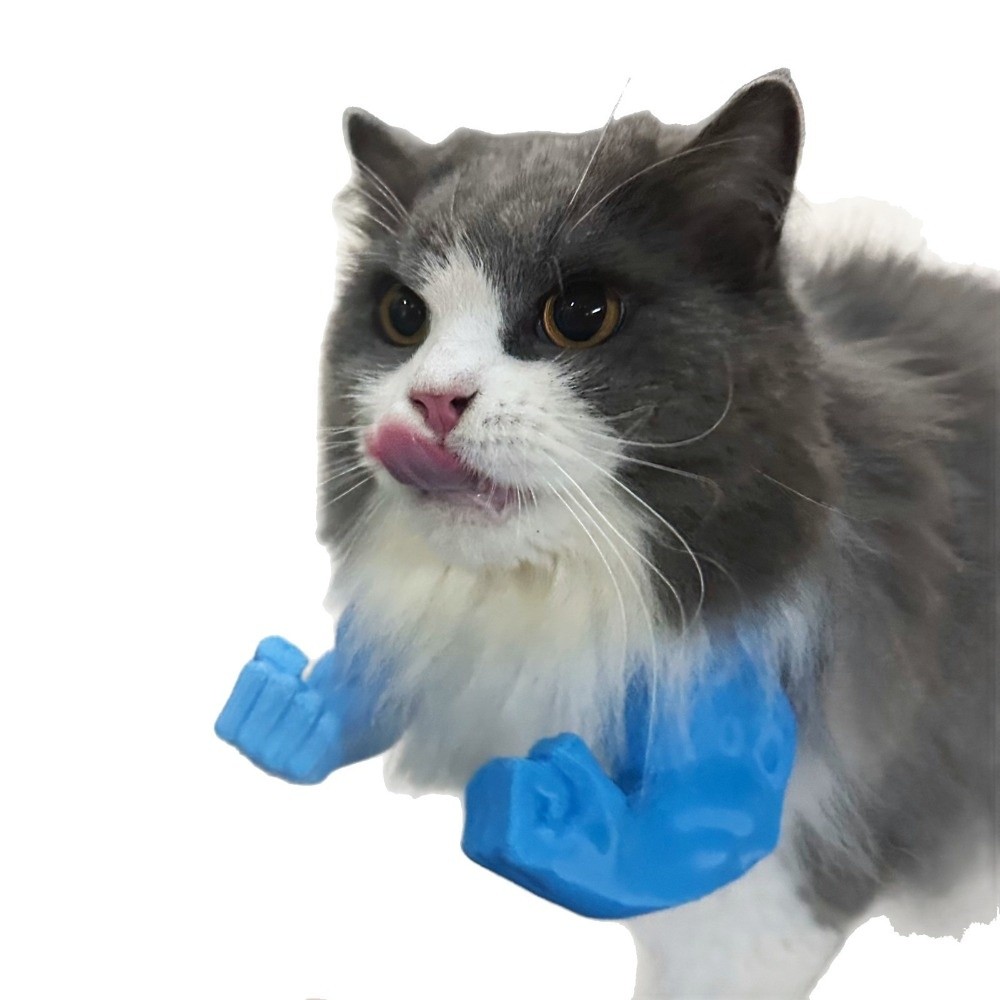 Role Play 3D Printed Cat Fist  - 3D Printing Nylon review and price