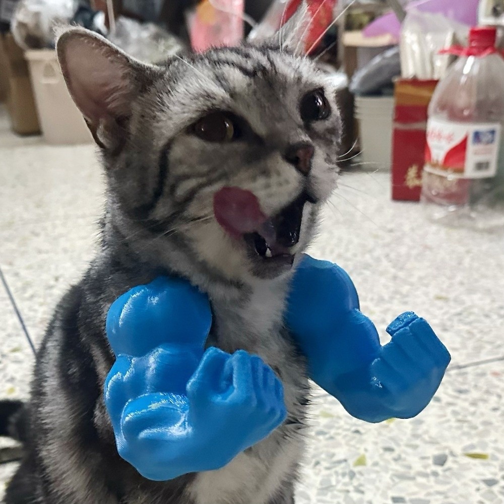Role Play 3D Printed Cat Fist  - 3D Printing Nylon review and price